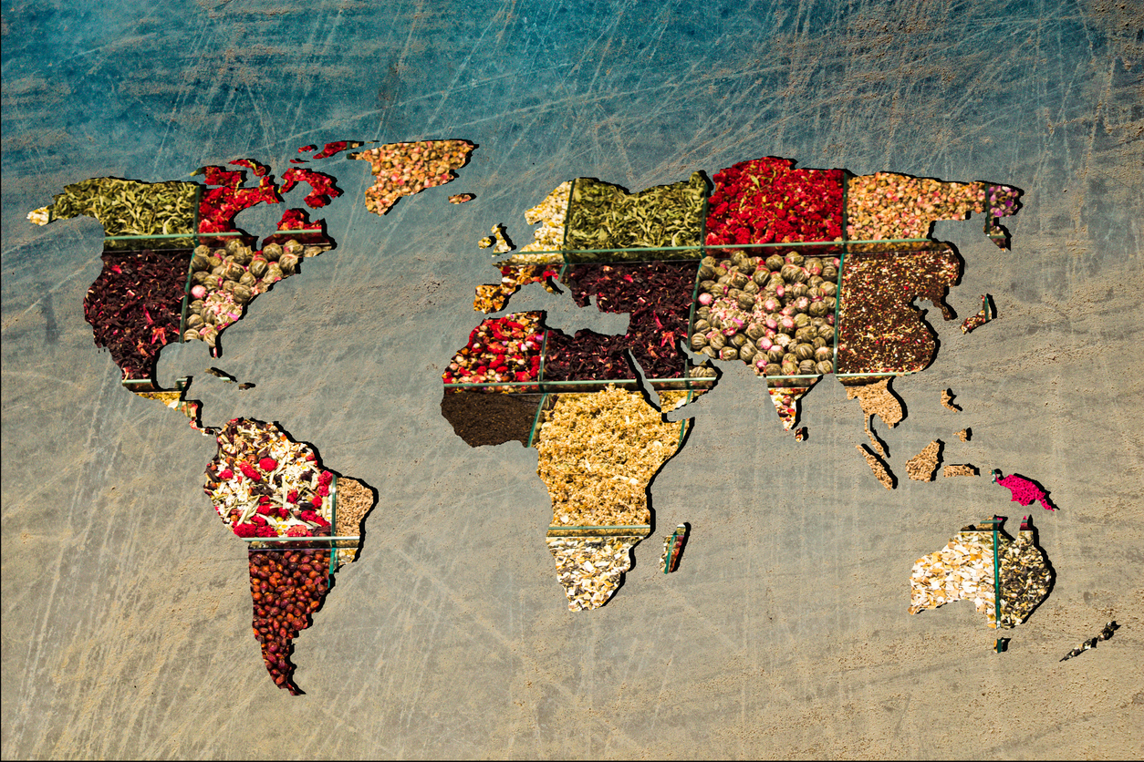 Mapa del mundo de trazo grueso con veracidad de relleno de especias